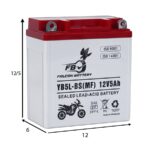 باتری موتورسیکلت اف بی مدل YB5L-BS(انواع اسکوتر) - تصویر 3