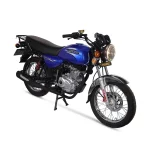 موتور سیکلت پیشرو طرح باکسر BM200 سی سی سال 1403 - تصویر 5