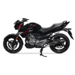 موتور سیکلت سوزوکی اینازوما 250 سی سی سال 1403 - تصویر 3