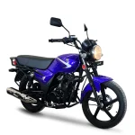 موتور سیکلت اس وای ام مدل لاکی طرح باکسر BX185 سال 1405 - تصویر 2
