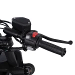 موتور سیکلت بندا ناپلئون 249cc سال ۱۴۰۴ - تصویر 11