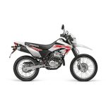 موتور سیکلت تریل کبیر 249A1 سال 1404
