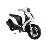 موتور سیکلت کبیر ساتلیس 170cc - تصویر 3